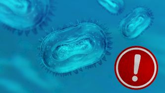 וירוס-אילוסטרציה, צילום: shutterstock