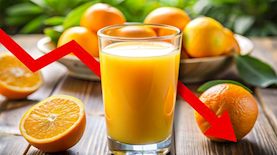 מיץ תפוזים, צילום: shutterstock