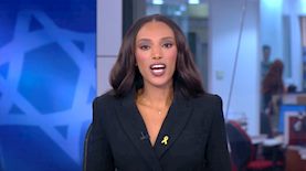 אלמז מנגיסטו, צילום: מסך קשת 12