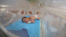 תינוק באינקובטור. אילוסטרציה, צילום: עלי חסן, פלאש 90