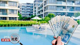 חופשה - בדיקת אייס, צילום: shutterstock