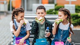 סנדוויץ' לבית הספר, צילום: shutterstock