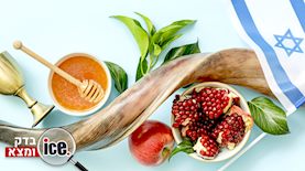 סל קניות לחג-אילוסטרציה, צילום: shutterstock