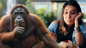 הסוד של האורנגוטן, צילום: shutterstock