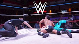 WWE, צילום: shutterstock