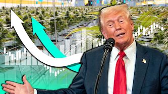 דונלד טראמפ, קנאביס, צילום: shutterstock