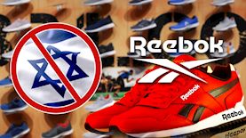 ריבוק וישראל, צילום: shutterstock