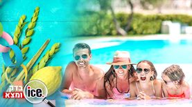 חופשה בחג-בדיקת אייס, צילום: shutterstock