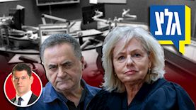 גלי בהרב-מיארה, ישראל כץ, צילום: פלאש 90/ יונתן זינדל, חיים גולדברג, תומר נויברג