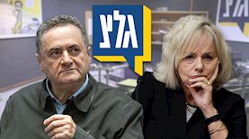 גלי בהרב מיארה, ישראל כץ, צילום: פלאש 90/ אורן בן חקון, תומר נויברג, חיים גולדברג