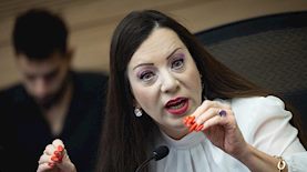 טלי גוטליב, צילום: פלאש 90/ יונתן זינדל