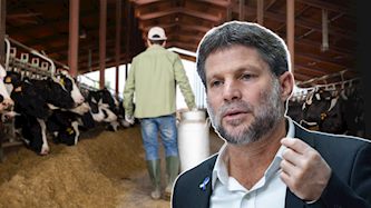 בצלאל סמוטריץ', צילום: פלאש 90/ יונתן זינדל, shutterstock