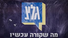 גלצ, צילום: פלאש 90/ אבשלום ששוני
