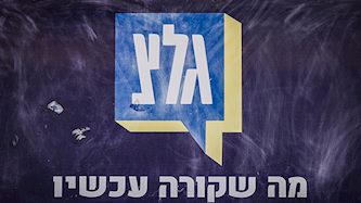 גלצ, צילום: פלאש 90/ אבשלום ששוני