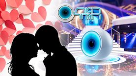 האח הגדול, צילום: shutterstock, מסך רשת 13