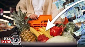 רשת המזון הזולה ביותר-אילוסטרציה, צילום: shutterstock