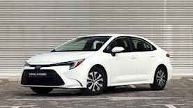 טויטה קורולה, צילום: טויוטה ישראל