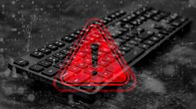 עוקץ-אילוסטרציה, צילום: shutterstock