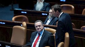 ישראל כץ, צילום: יונתן זינדל/פלאש 90