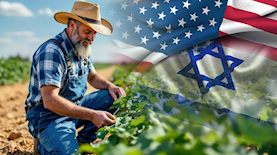 חקלאות ישראל, ארהב-אילוסטרציה AI, צילום: shutterstock