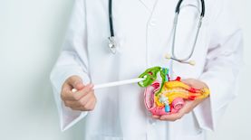 הדמיית מודל לבלב, צילום: Shutterstock