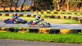 קרטינג-אילוסטרציה, צילום: shutterstock