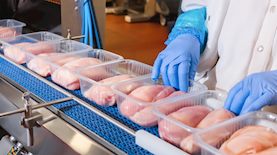 בשר עוף. אילוסטרציה, צילום: Shutterstock