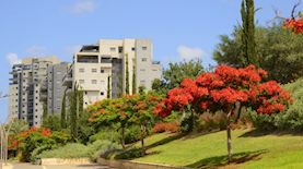 ברק רפאל נדל״ן: כך השתנה השוק, צילום: קרדיט- https://depositphotos.com/