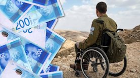 נכה צהל-אילוסטרציה  AI, צילום: shutterstock
