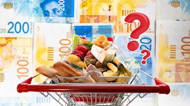 סל קניות, צילום: shutterstock