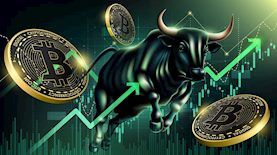 ביטקוין עולה, צילום: shutterstock