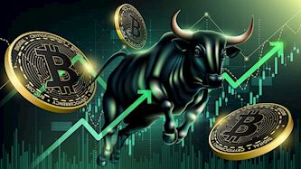 ביטקוין עולה, צילום: shutterstock