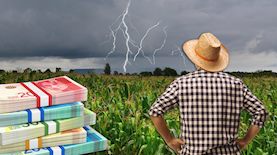 נזקי הסופה, צילום: shutterstock