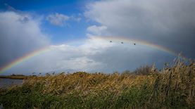 קשת בענן בעמק החולה, צילום: פלאש 90/ אייל מרגולין