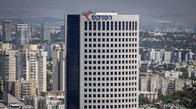 הפניקס, צילום: פלאש 90/ יוסי אלוני