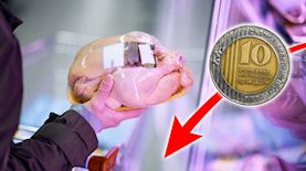 עוף, צילום: shutterstock