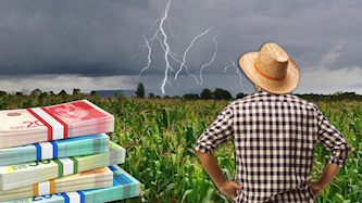 נזקי הסופה, צילום: shutterstock
