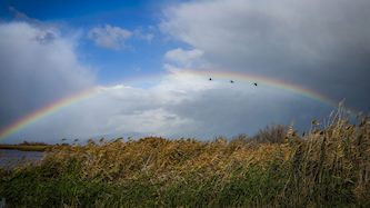 קשת בענן בעמק החולה, צילום: פלאש 90/ אייל מרגולין