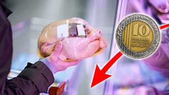 עוף, צילום: shutterstock