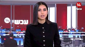 מגי טביבי, צילום: מסך ערוץ 14