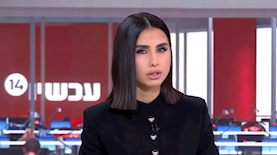 מגי טביבי, צילום: מסך ערוץ 14