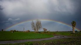 קשת בענן, צילום: אייל מרגולין פלאש 90