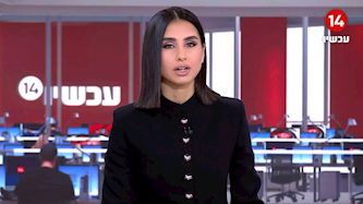 מגי טביבי, צילום: מסך ערוץ 14