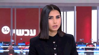 מגי טביבי, צילום: מסך ערוץ 14