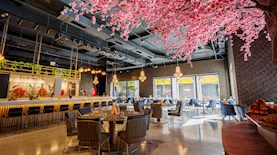 אלאדינו, צילום: תומר אשל מדיה פרו