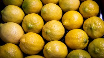 לימון, צילום: Yossi Aloni/Flash90