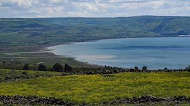 נוף שפך נהר הירדן, צילום: אייל מרגולין פלאש 90