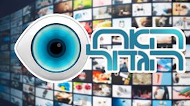 האח הגדול, צילום: shutterstock