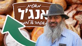 ירון אנג'ל, צילום: shutterstock, Hadas Parush/Flash90