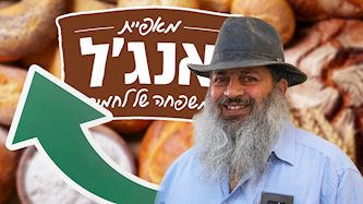 ירון אנג'ל, צילום: shutterstock, Hadas Parush/Flash90